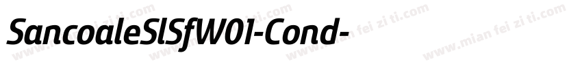 SancoaleSlSfW01-Cond字体转换