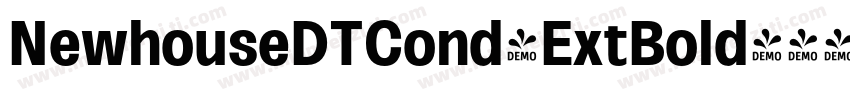 NewhouseDTCond-ExtBold字体转换