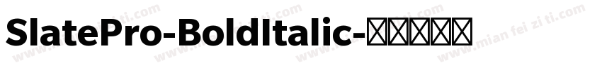 SlatePro-BoldItalic字体转换
