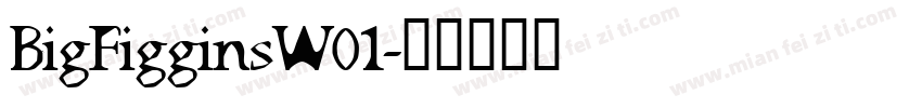 BigFigginsW01字体转换