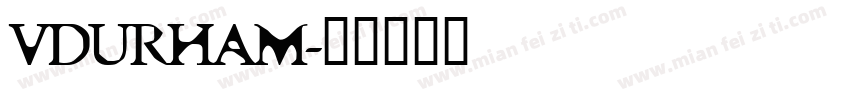 VDURHAM字体转换