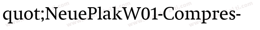 quot;NeuePlakW01-Compres字体转换