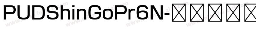 PUDShinGoPr6N字体转换