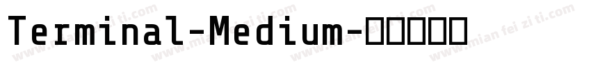 Terminal-Medium字体转换