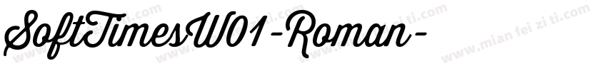 SoftTimesW01-Roman字体转换