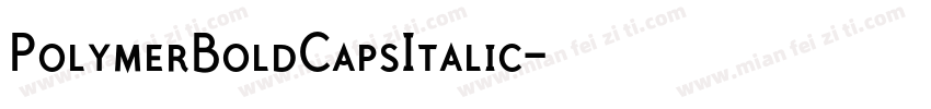 PolymerBoldCapsItalic字体转换