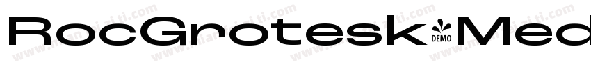 RocGrotesk-Medium字体转换
