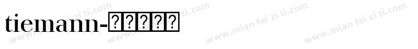 tiemann字体转换