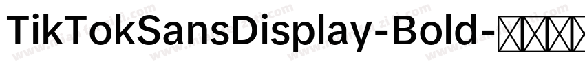 TikTokSansDisplay-Bold字体转换