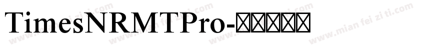 TimesNRMTPro字体转换