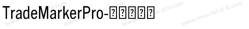 TradeMarkerPro字体转换
