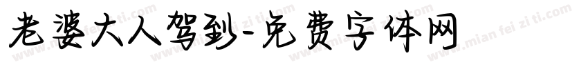 老婆大人驾到字体转换