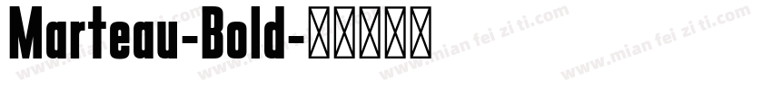 Marteau-Bold字体转换