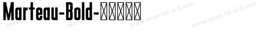 Marteau-Bold字体转换