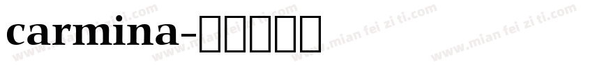 carmina字体转换