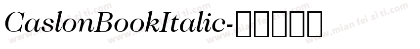 CaslonBookItalic字体转换