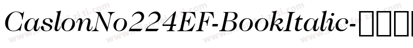 CaslonNo224EF-BookItalic字体转换