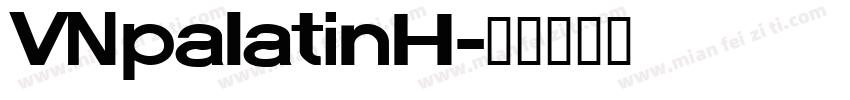 VNpalatinH字体转换