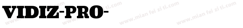 VIDIZ-PRO字体转换