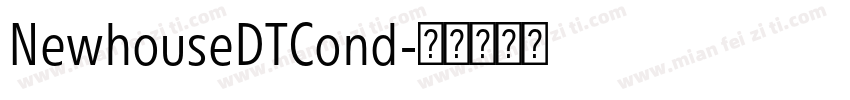 NewhouseDTCond字体转换