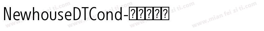 NewhouseDTCond字体转换
