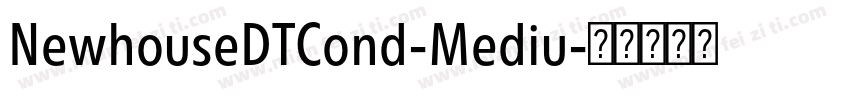 NewhouseDTCond-Mediu字体转换