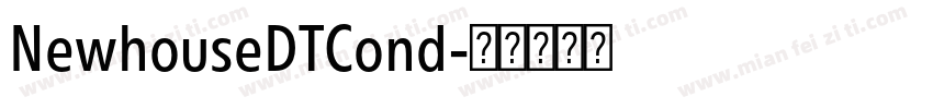 NewhouseDTCond字体转换