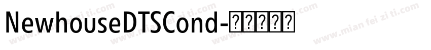 NewhouseDTSCond字体转换