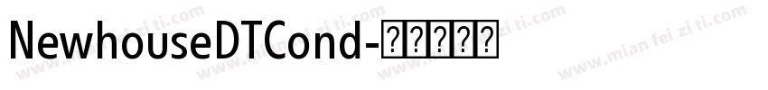 NewhouseDTCond字体转换