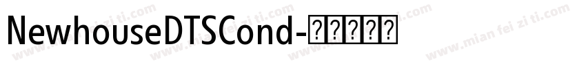 NewhouseDTSCond字体转换