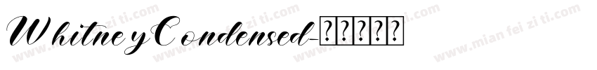WhitneyCondensed字体转换