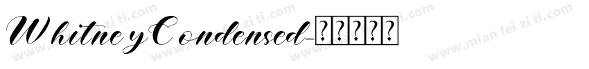 WhitneyCondensed字体转换