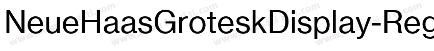 NeueHaasGroteskDisplay-Reg字体转换
