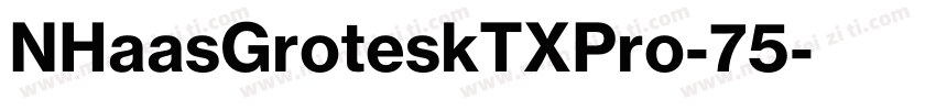 NHaasGroteskTXPro-75字体转换