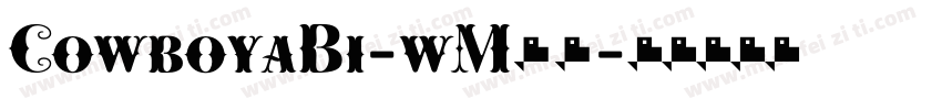 CowboyaBi-wM66字体转换