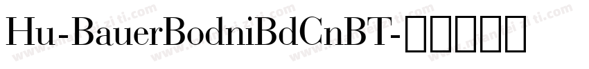 Hu-BauerBodniBdCnBT字体转换