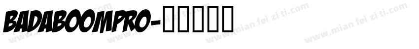 BadaBoomPro字体转换