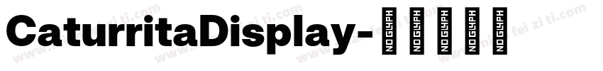 CaturritaDisplay字体转换