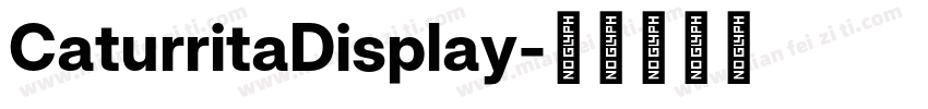 CaturritaDisplay字体转换
