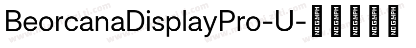 BeorcanaDisplayPro-U字体转换
