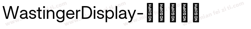 WastingerDisplay字体转换