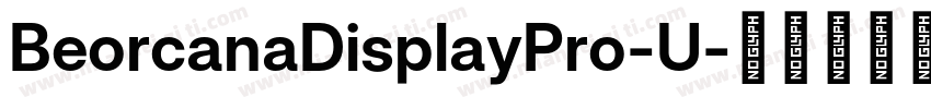 BeorcanaDisplayPro-U字体转换