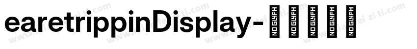 earetrippinDisplay字体转换