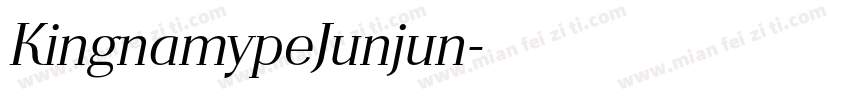KingnamypeJunjun字体转换
