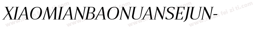 XIAOMIANBAONUANSEJUN字体转换