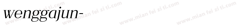 wenggajun字体转换