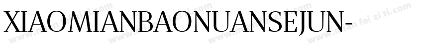 XIAOMIANBAONUANSEJUN字体转换
