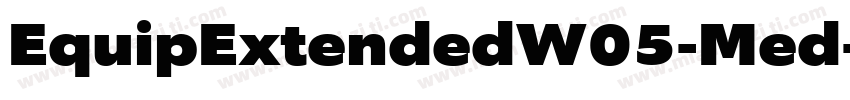 EquipExtendedW05-Med字体转换