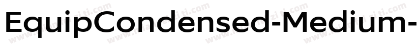 EquipCondensed-Medium字体转换