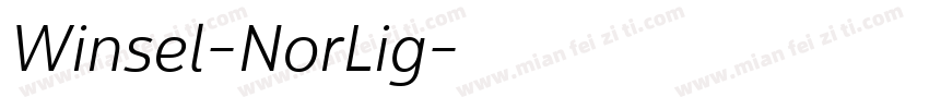 Winsel-NorLig字体转换